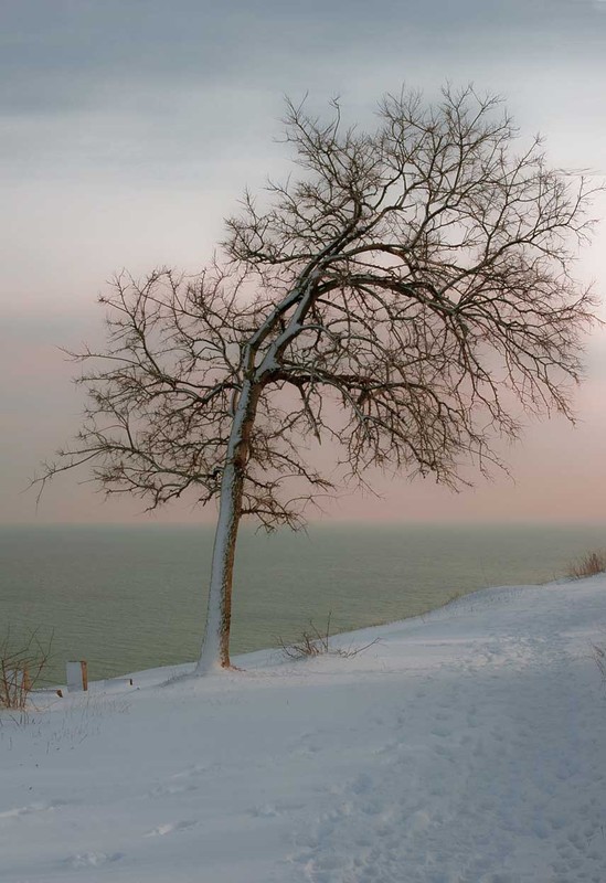Фотографія Одиночество / Alex Savelieff / photographers.ua