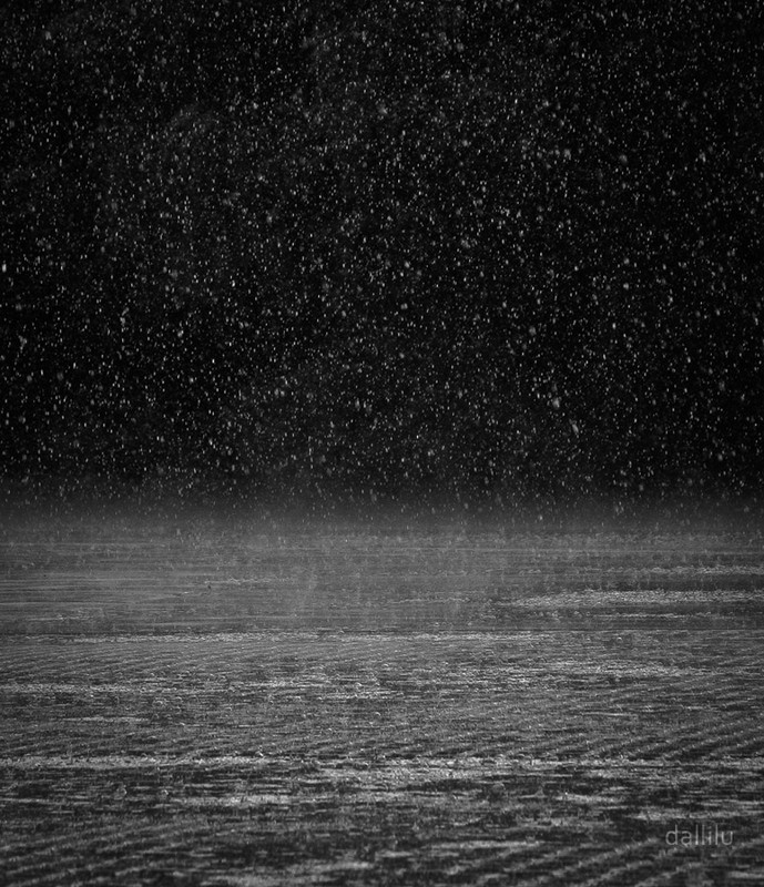 Фотографія It can't rain all the time / Dallilu / photographers.ua