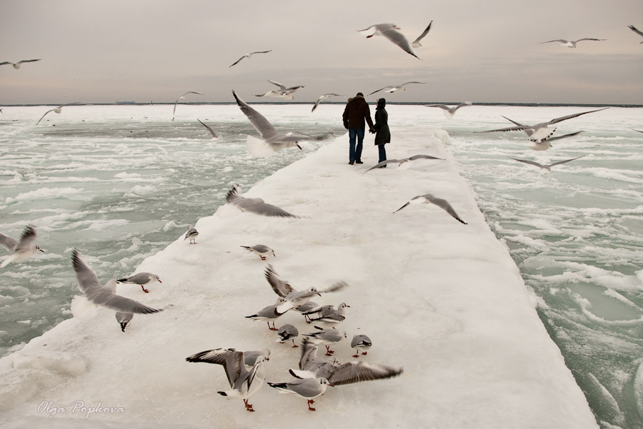 Фотографія ледяной воздух / Ольга Попкова / photographers.ua