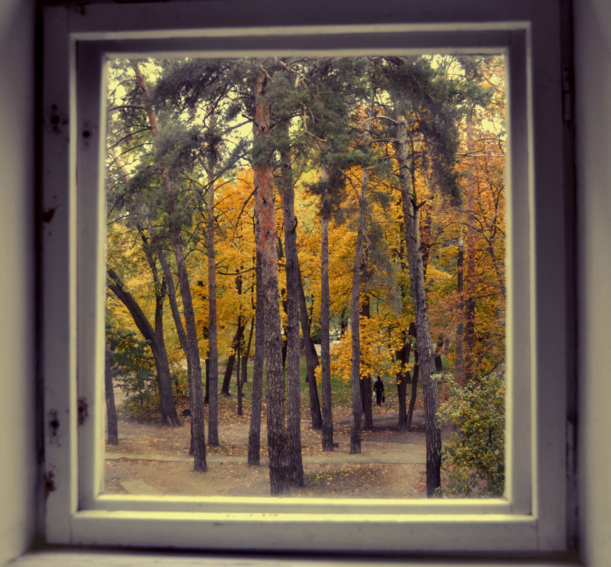 Фотографія а за вікном - осінь / Оксана Костюк / photographers.ua