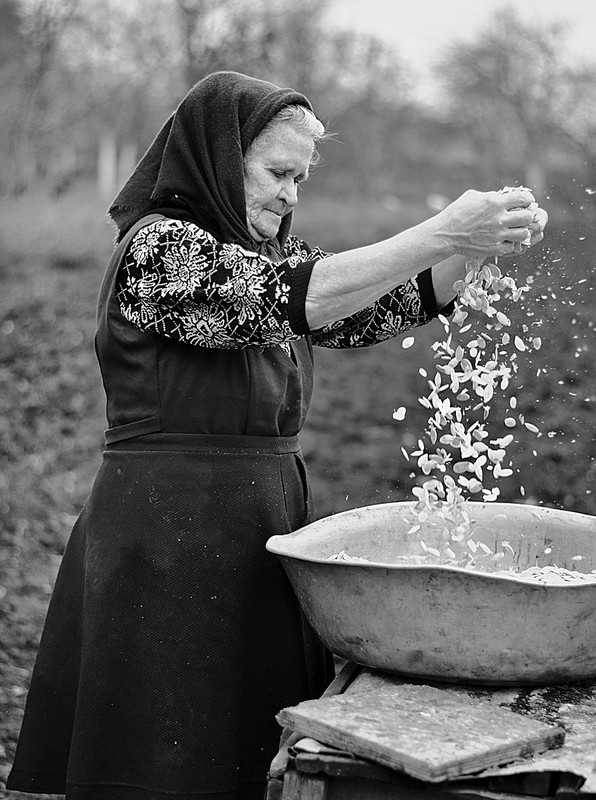 Фотографія гарбузове насіння / Оксана Костюк / photographers.ua