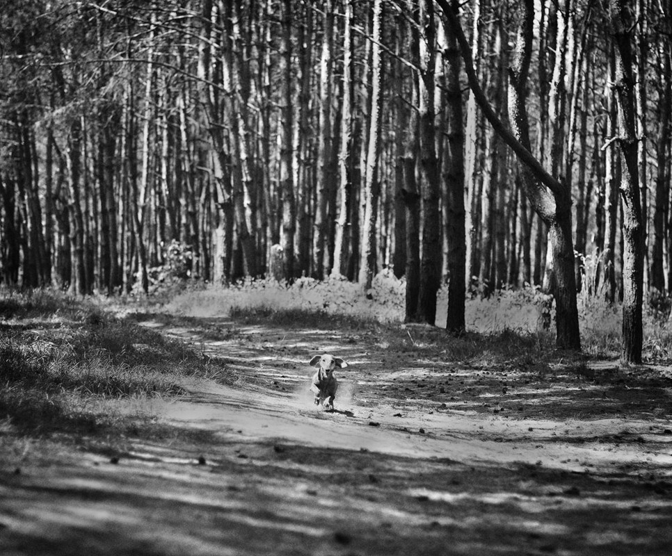 Фотографія Свобода / Яна Кравчук / photographers.ua