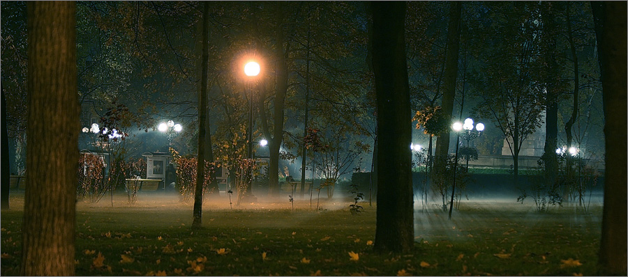 Фотографія Вуаль ночного парка / Vas ART / photographers.ua