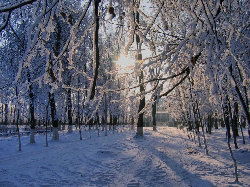 Фотографія когда будет зима? / Samer / photographers.ua