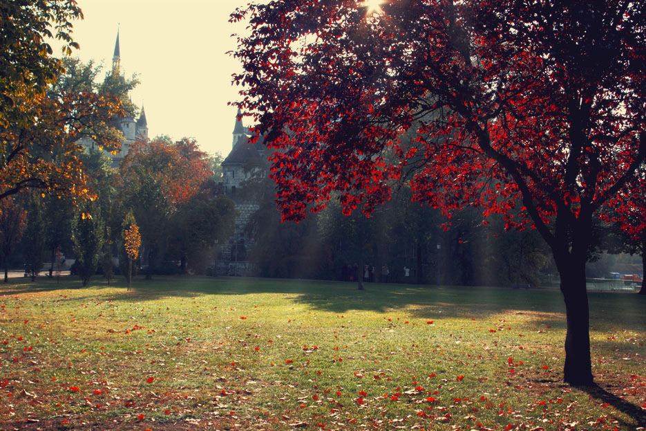 Фотографія Замок Вайдахуняд / Груць Микола / photographers.ua