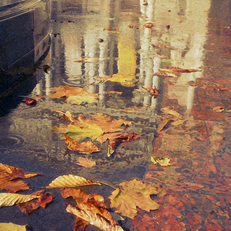 Фотографія "Масляна осінь" / Yuriy Zaveryukha / photographers.ua