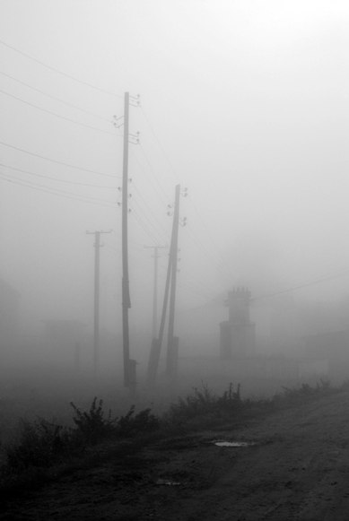 Фотографія fog / Виталий Сокур / photographers.ua
