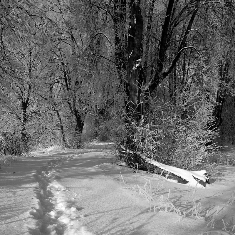 Фотографія Пейзаж / Орест Сивак / photographers.ua