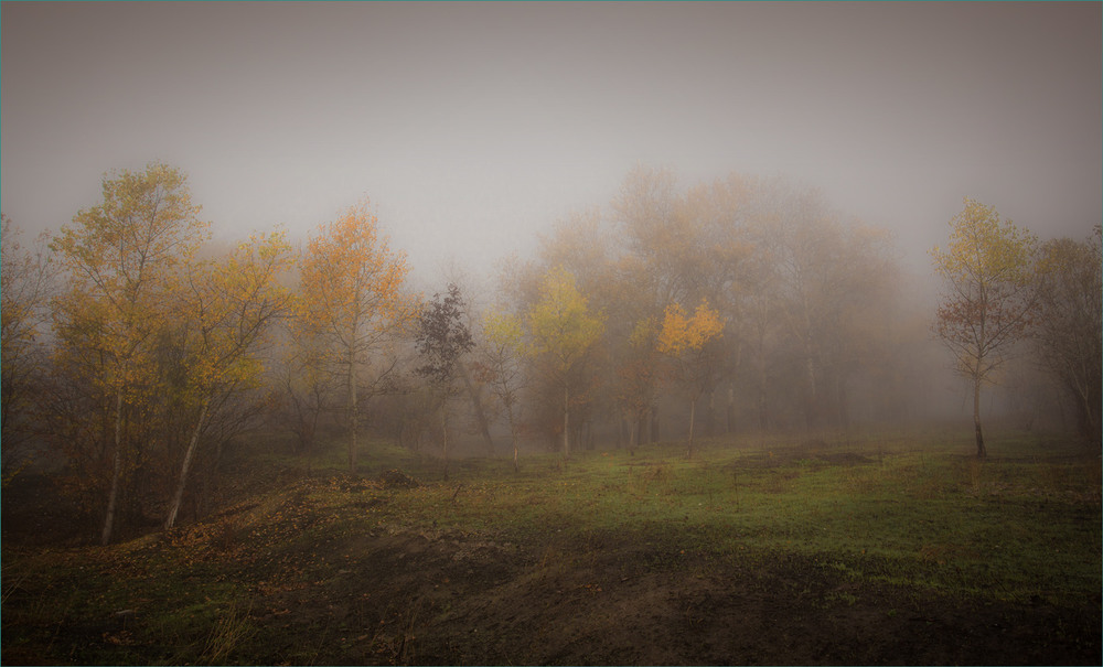 Фотографія Останні подихи осені. / Сергій Гончаров / photographers.ua