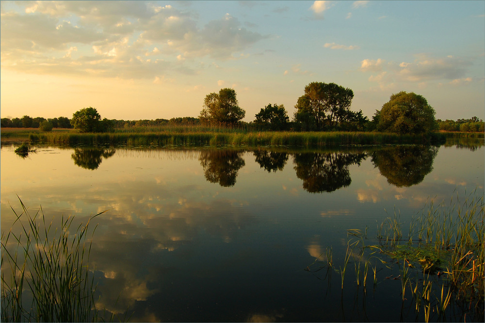 Фотографія Вечоріє. / Сергій Гончаров / photographers.ua