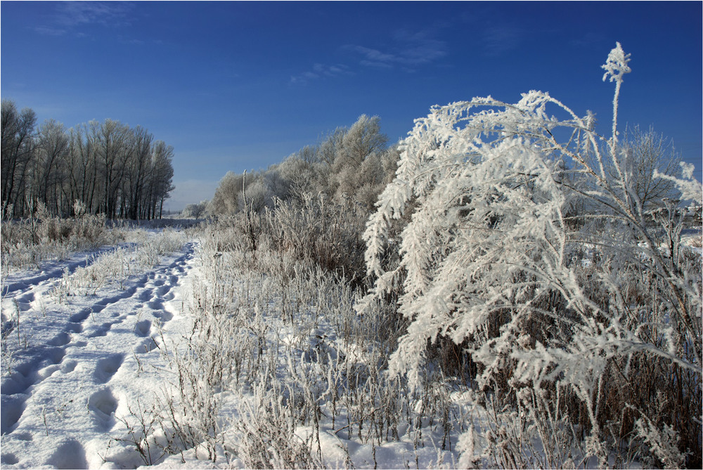 Фотографія Знову зима / Сергій Гончаров / photographers.ua