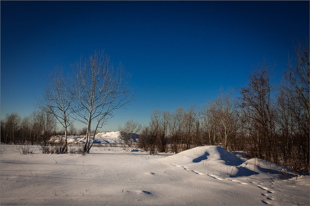 Фотографія Перший сніг. / Сергій Гончаров / photographers.ua