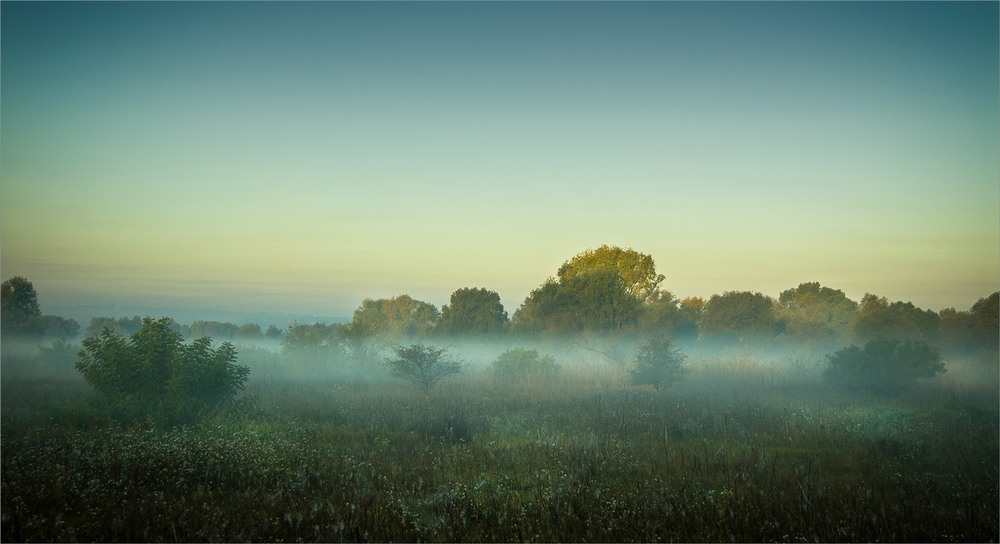 Фотографія Стелився туман. / Сергій Гончаров / photographers.ua