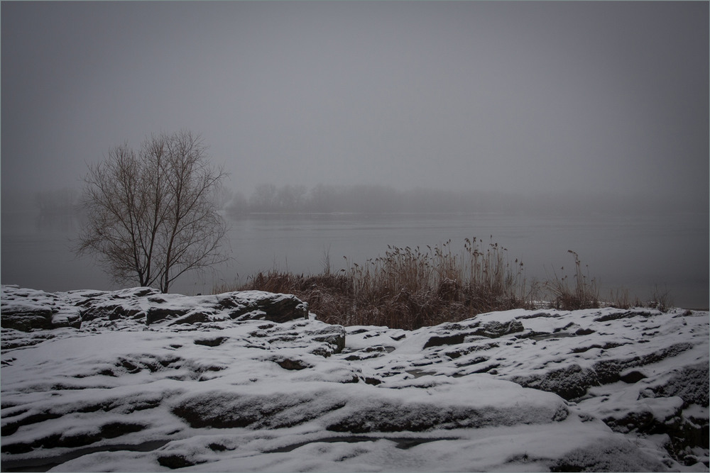 Фотографія Сніг з туманом. / Сергій Гончаров / photographers.ua