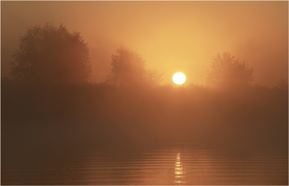 Фотографія сонце та ранковий туман / Сергій Гончаров / photographers.ua