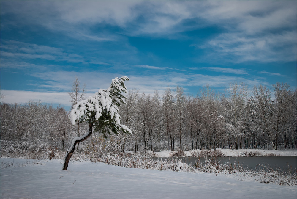 Фотографія Холодное одиночество. / Сергій Гончаров / photographers.ua