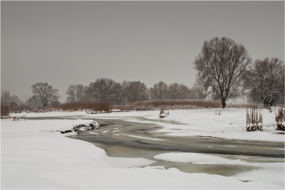 Фотографія зима прийшла / Сергій Гончаров / photographers.ua