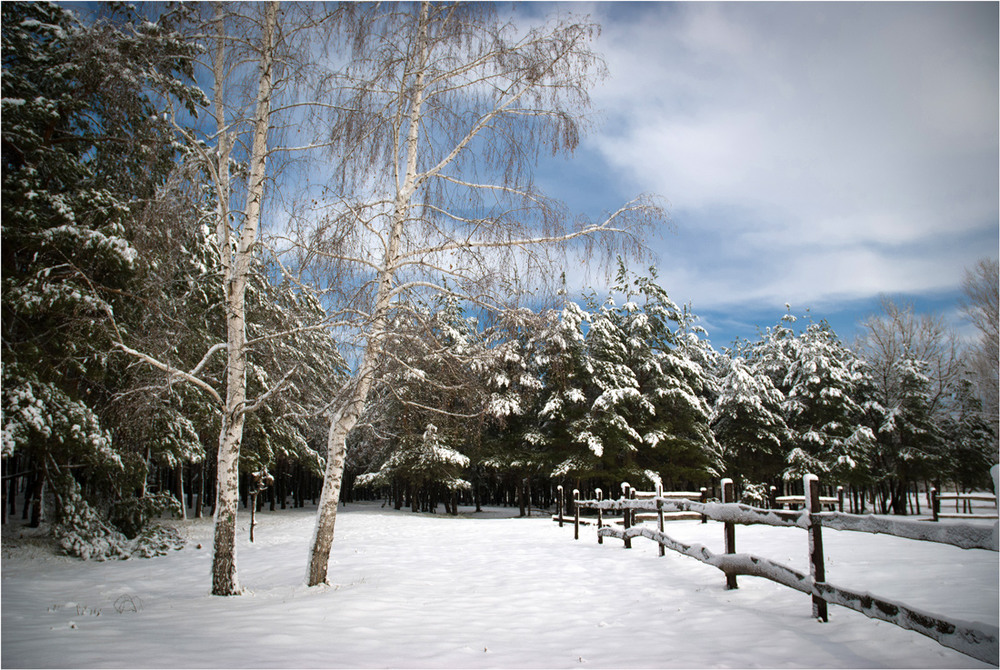 Фотографія на околиці зима / Сергій Гончаров / photographers.ua