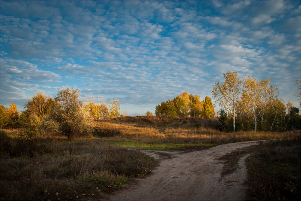 Фотографія Осінні хроніки.Початок / Сергій Гончаров / photographers.ua