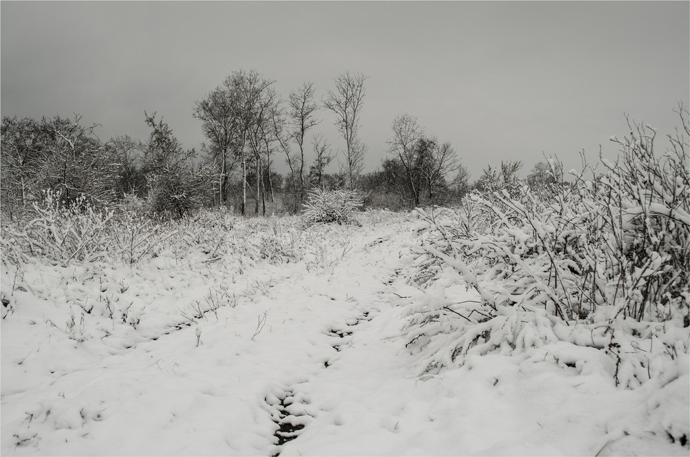 Фотографія Українська зима. / Сергій Гончаров / photographers.ua