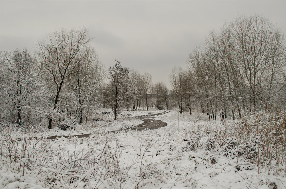 Фотографія Перший сніг / Сергій Гончаров / photographers.ua