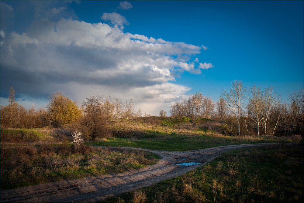 Фотографія Абрикос зацвів. / Сергій Гончаров / photographers.ua