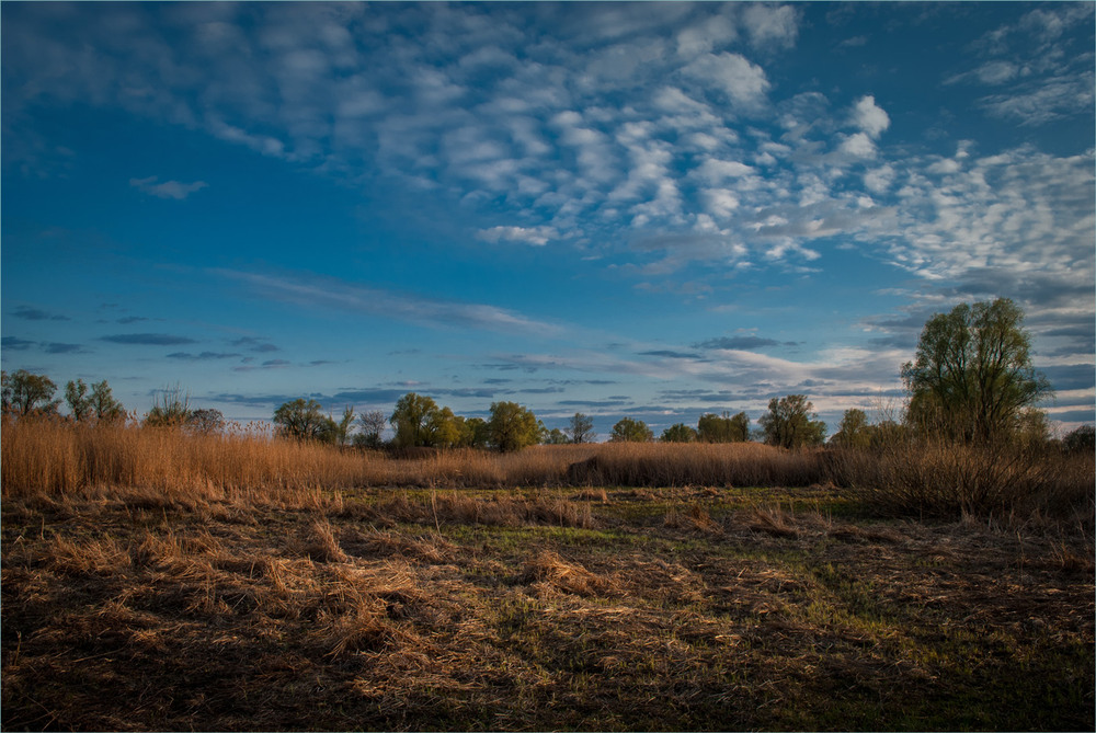 Фотографія Не знаю,просто гарний весняний вечір. / Сергій Гончаров / photographers.ua