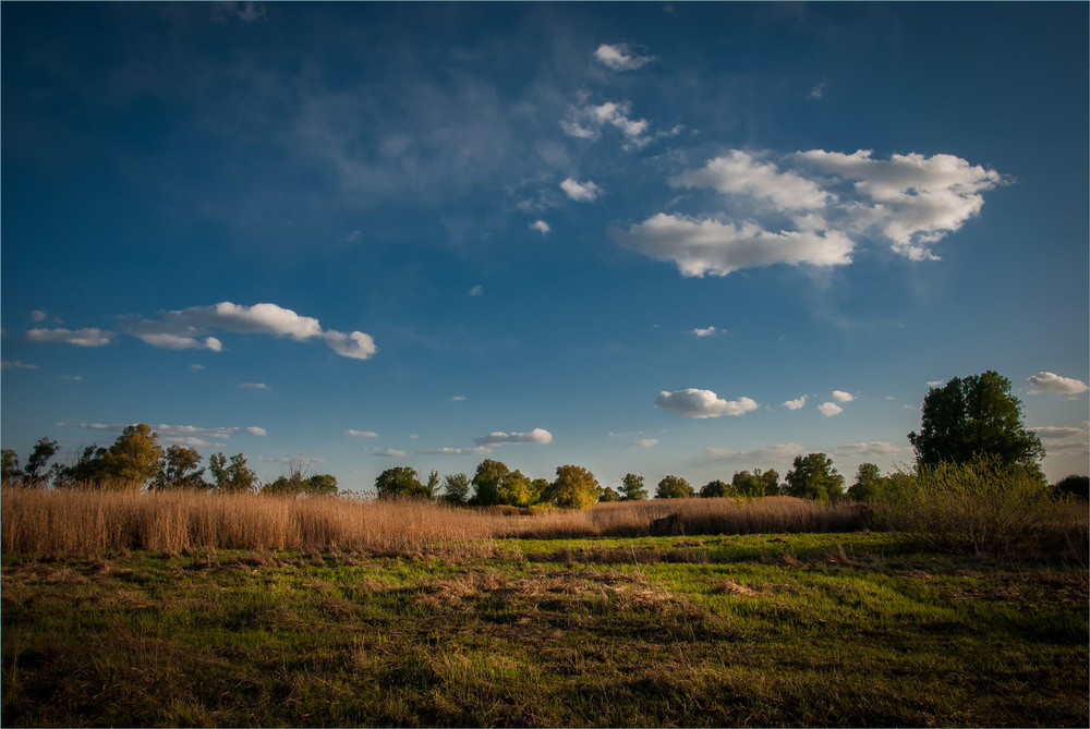 Фотографія Луги Дніпровські. / Сергій Гончаров / photographers.ua