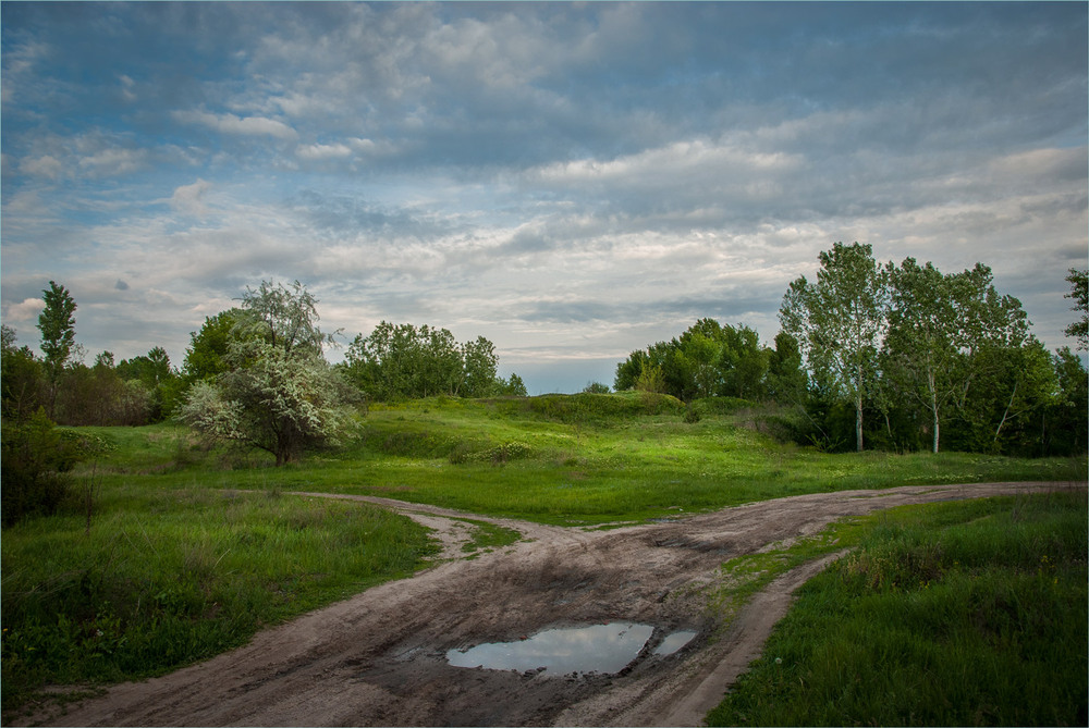 Фотографія Калюжка на дорозі. / Сергій Гончаров / photographers.ua