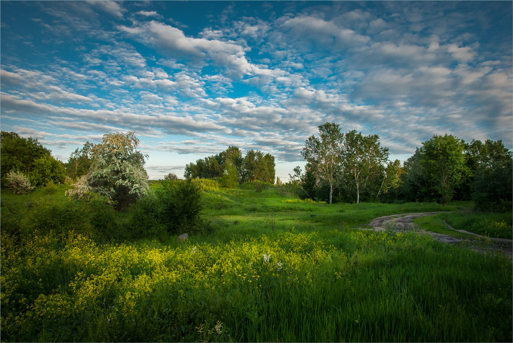 Фотографія Останні дні весни / Сергій Гончаров / photographers.ua