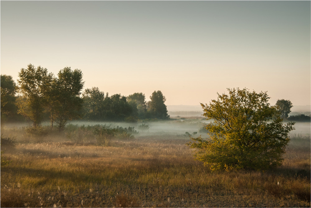 Фотографія осіннім,туманним... / Сергій Гончаров / photographers.ua