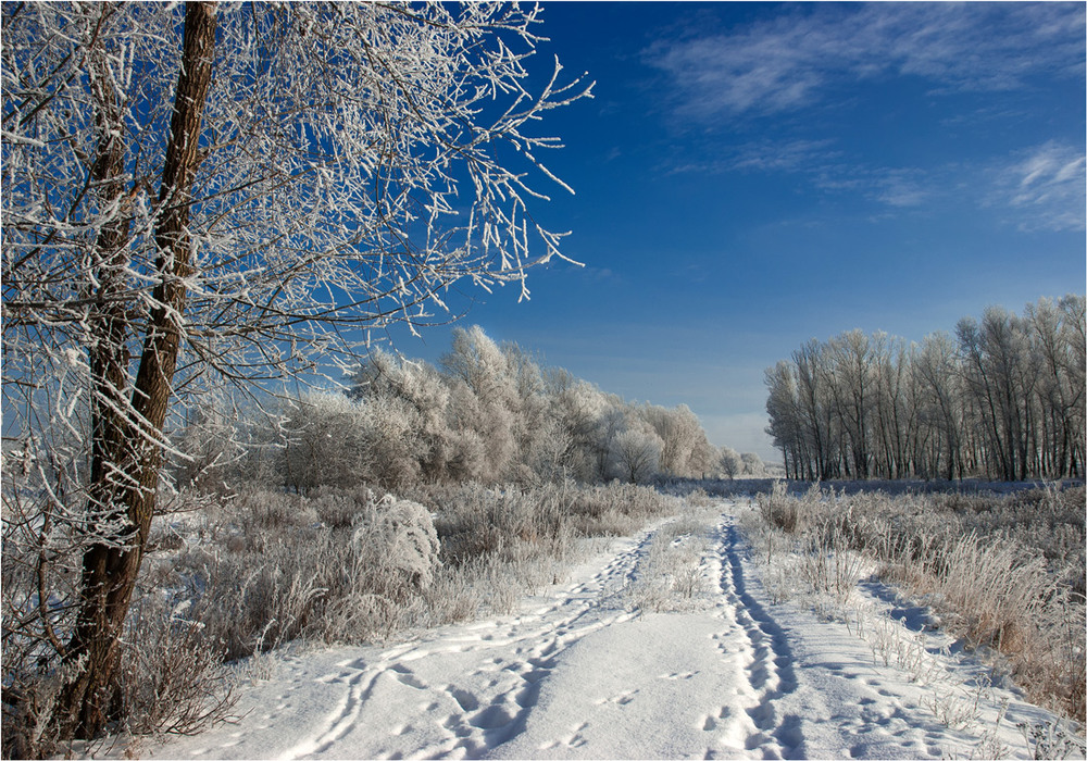 Фотографія зимна / Сергій Гончаров / photographers.ua
