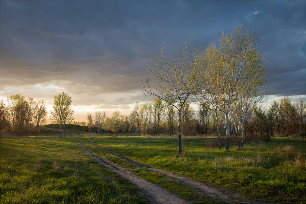 Фотографія Просто весняний вечір. / Сергій Гончаров / photographers.ua