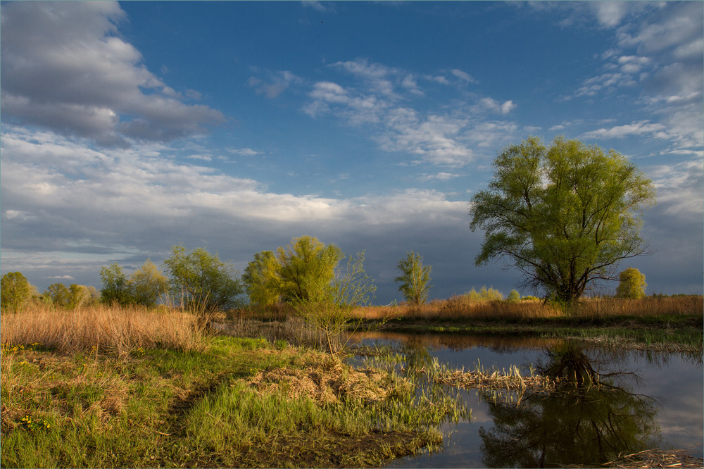Фотографія Маленька притока великої ріки. / Сергій Гончаров / photographers.ua
