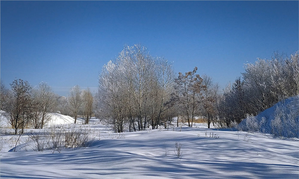 Фотографія Сніжна зима. / Сергій Гончаров / photographers.ua