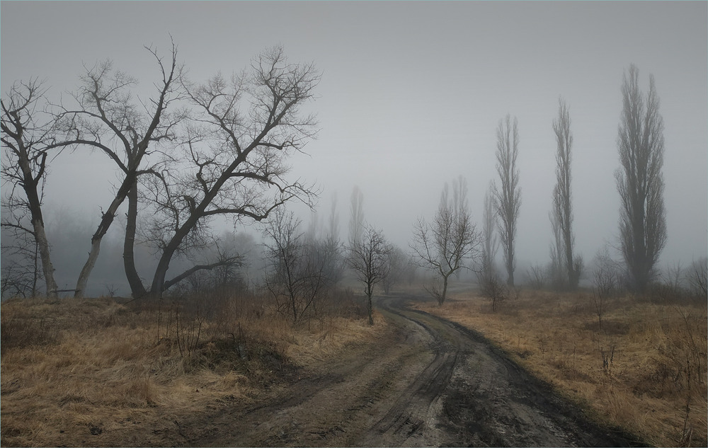 Фотографія Про лавку та туман. / Сергій Гончаров / photographers.ua