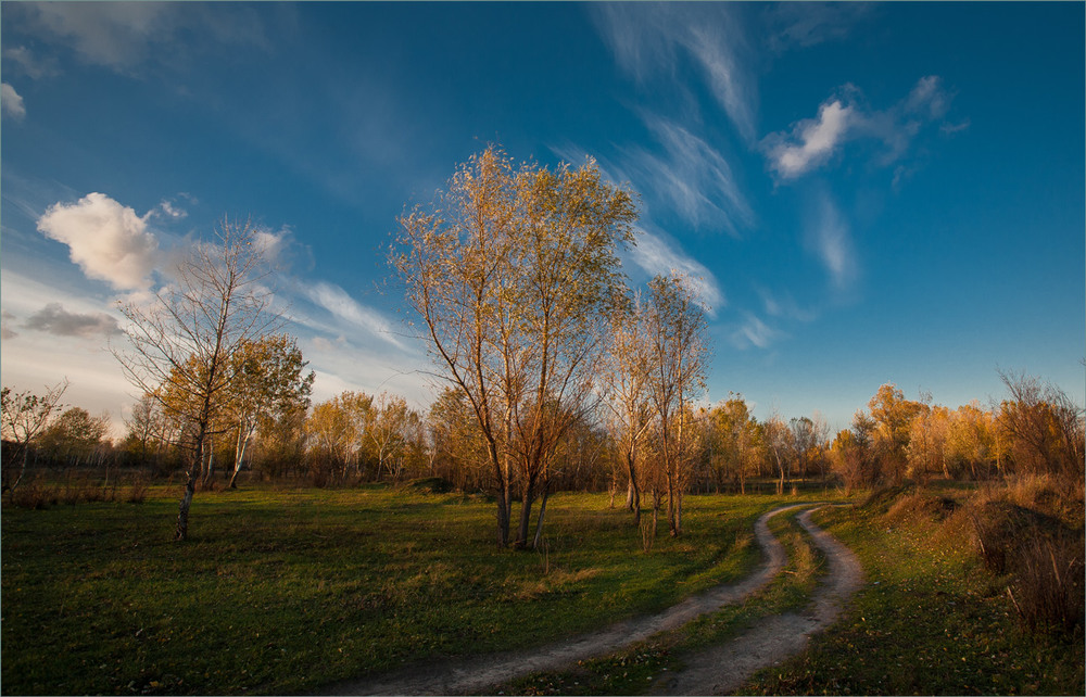 Фотографія Осіння. / Сергій Гончаров / photographers.ua