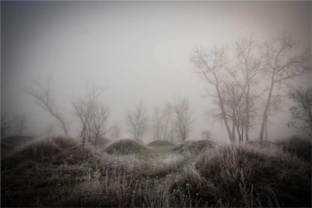 Фотографія Туманним ранком. / Сергій Гончаров / photographers.ua