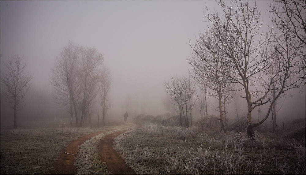 Фотографія Стелився ранковий  туман. / Сергій Гончаров / photographers.ua