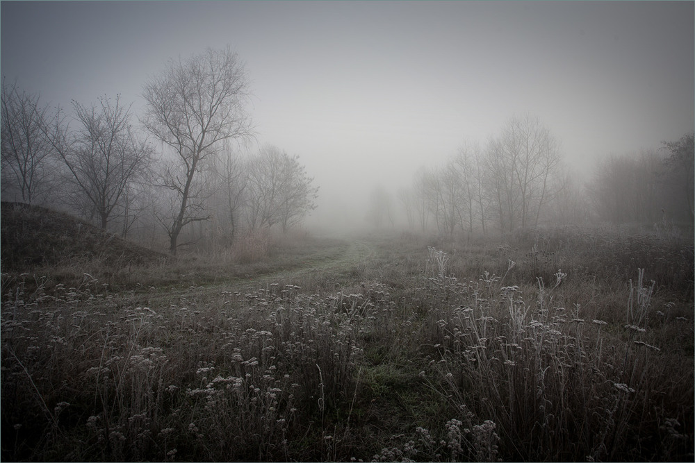 Фотографія Осінні тумани. / Сергій Гончаров / photographers.ua