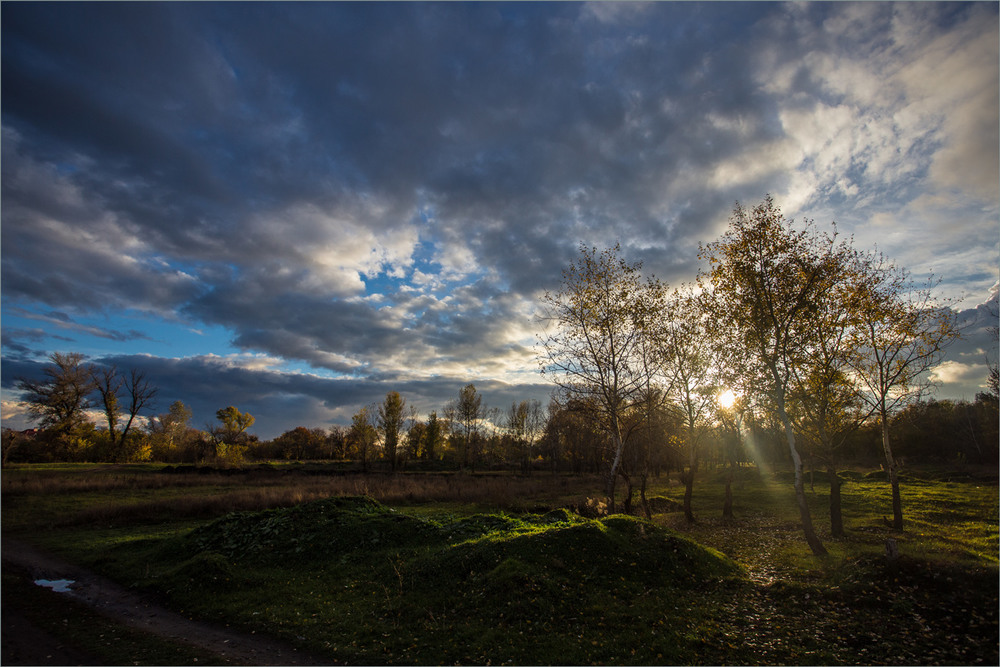 Фотографія *** / Сергій Гончаров / photographers.ua