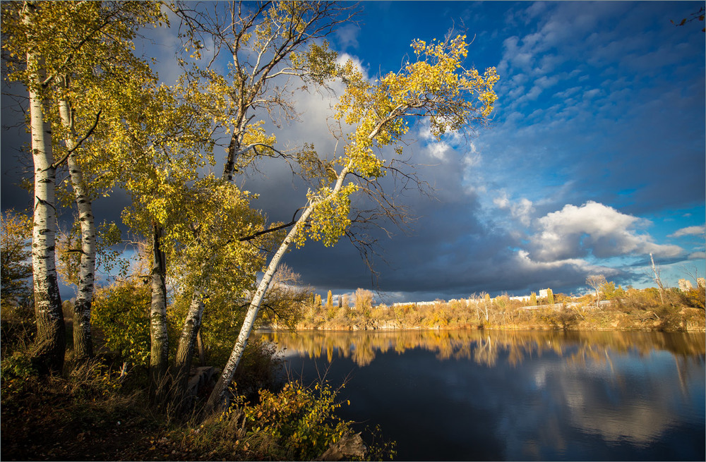 Фотографія Золота пора / Сергій Гончаров / photographers.ua