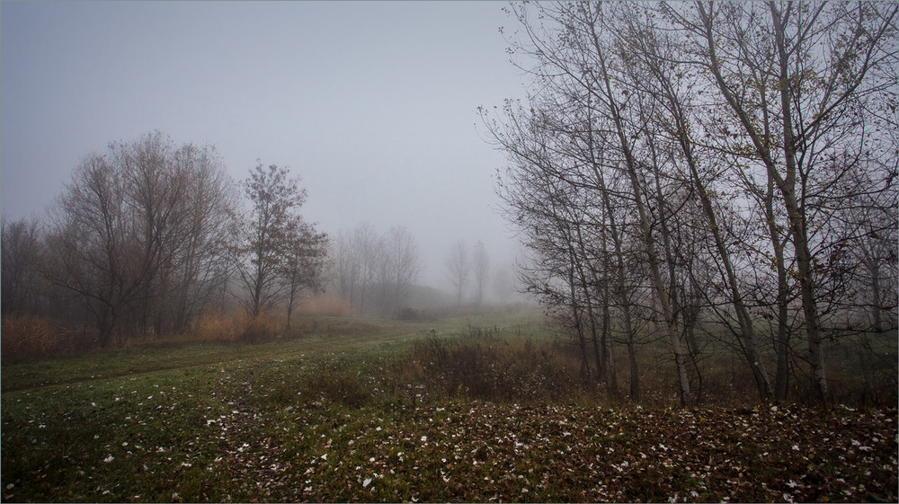 Фотографія І знову туман. / Сергій Гончаров / photographers.ua