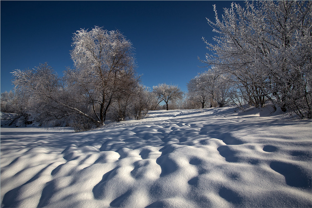 Фотографія Снігові хвилі. / Сергій Гончаров / photographers.ua