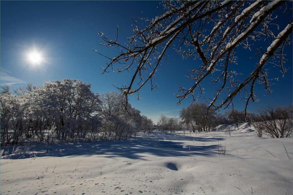 Фотографія Сніг та сонце. / Сергій Гончаров / photographers.ua