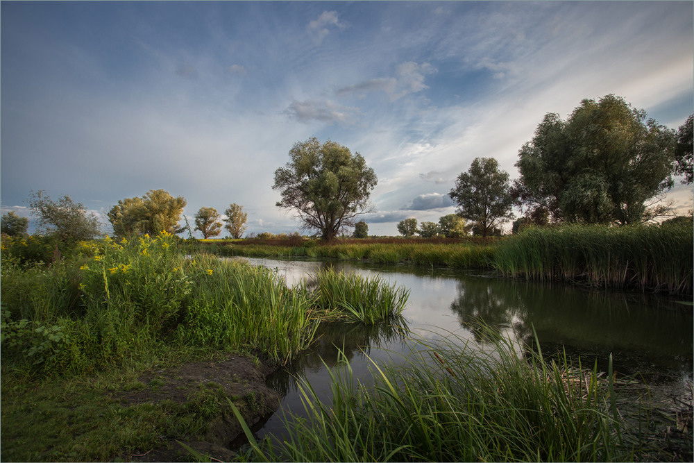 Фотографія Лише маленька частинка великої ріки. / Сергій Гончаров / photographers.ua