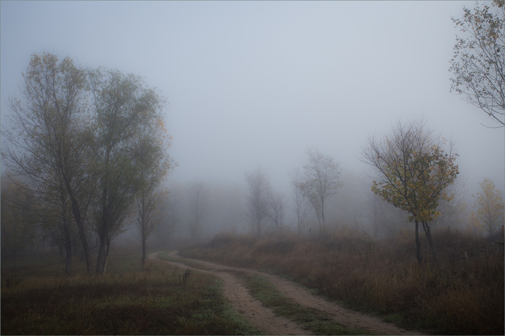 Фотографія Туман. / Сергій Гончаров / photographers.ua