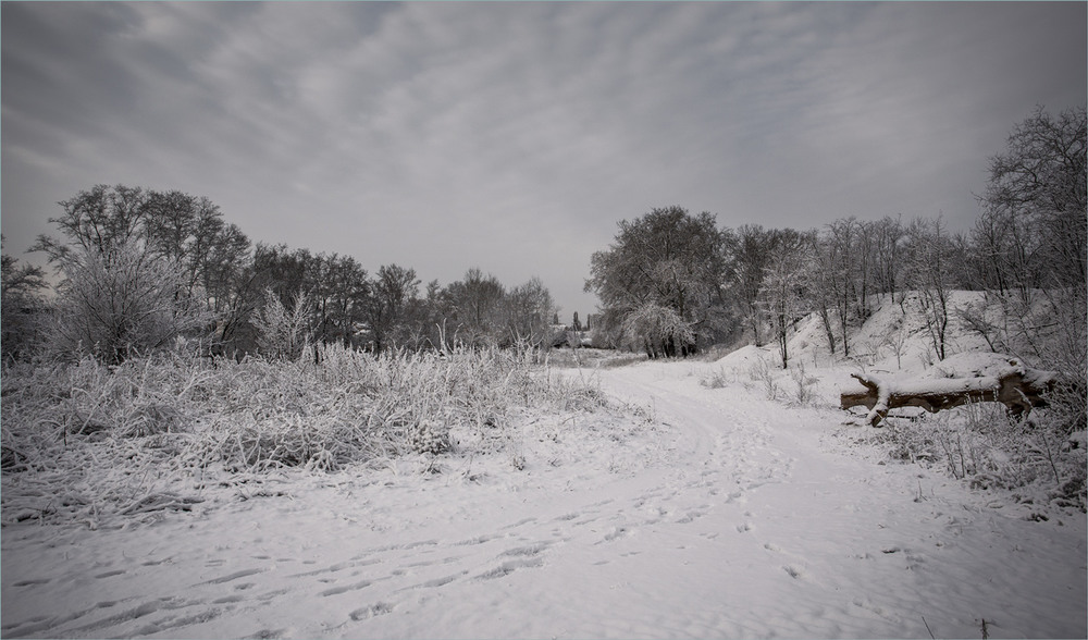 Фотографія Сьогодні вранці зима. / Сергій Гончаров / photographers.ua