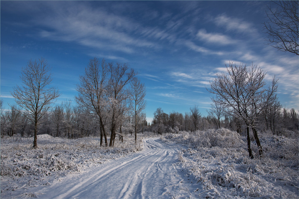 Фотографія Зима йде,зима повертається. / Сергій Гончаров / photographers.ua