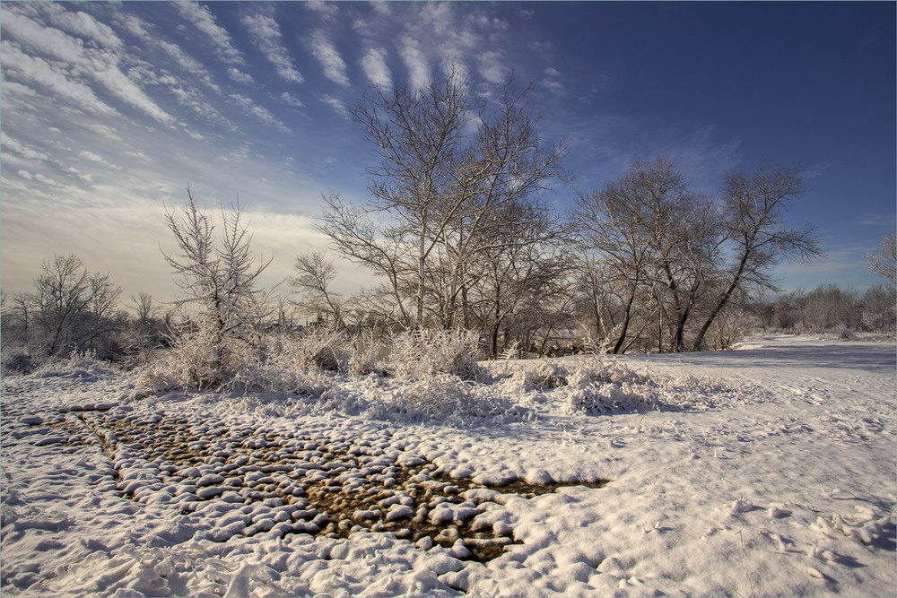 Фотографія Зима повертається. / Сергій Гончаров / photographers.ua